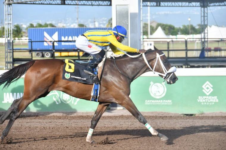 Royal Poppy favoured for Kilowatt Trophy