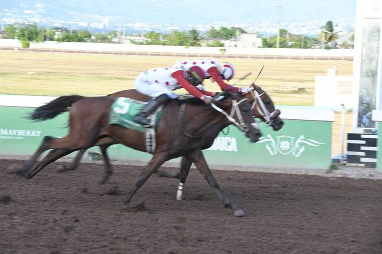 Maverick back with a vengeance in $3.75-m Winston ‘Fanna’ Griffiths Classic
