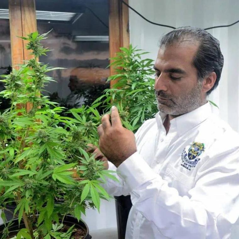 Kaya herb house sales lifted 45 per cent by carnival and IShowSpeed